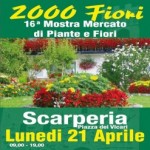 2000-fiori-1.jpg