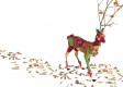 Antonio-Massarutto-Ero-un-prete-di-campagna-2013.jpg