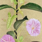 Imago-Incisione-di-Miyayama-Hiroaki-1.jpg