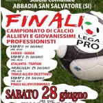 Loc-Campionato-Professionisti-Lega-Pro-giu14.jpg