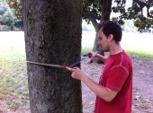 Parco-delle-Cascine-Misurazioni-alberi.jpg