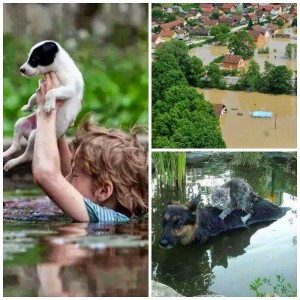 alluvione-serbia.jpg