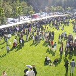 bancarelle-enolia.jpg