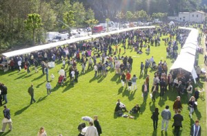 bancarelle-enolia.jpg