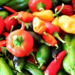 chilipeper1.jpg