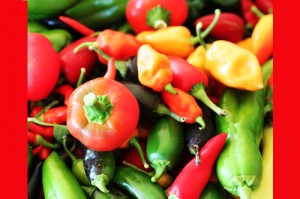 chilipeper1.jpg