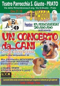 concecani.jpg