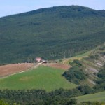 faggeta-di-pietraporciana.jpg