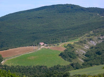 faggeta-di-pietraporciana.jpg