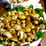 funghi_prugnoli_2_sagra_a_pieve_santo_stefano_.jpg