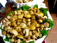 funghi_prugnoli_2_sagra_a_pieve_santo_stefano_.jpg