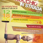 locandina_pinocchio_in_strada2014_2.jpg