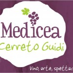 logo-medicea.jpg