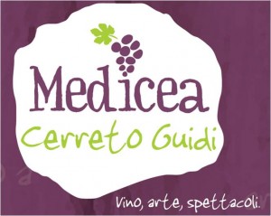 logo-medicea.jpg