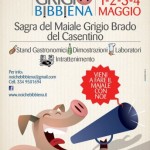 sagra-del-maiale-grigio-del-casentino.jpg