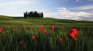 tour-di-una-giornata-a-san-gimignano-siena-e-nel-chianti-t7679.jpeg