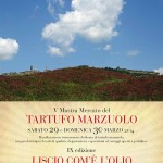 voltarragusto_big_2014.jpg
