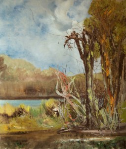 A. Buonamici, olio su vetroresina (mostra IN TRASPARENZA)