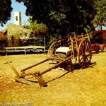 10922791_801352409900010_4968382259108247768_n