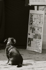 foto festival volterravegan