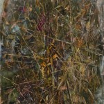 zzzzzzzzzzzzzzzLorenzo Donati - L'IMMENSITA'