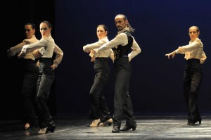 flamenco