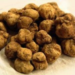 sagra-tartufo-fiesole