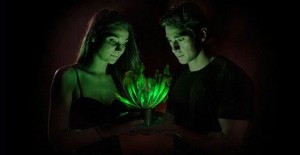 12802961_1683486055237788_6608487395515912907_n