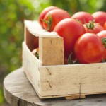 cassetta-di-pomodori