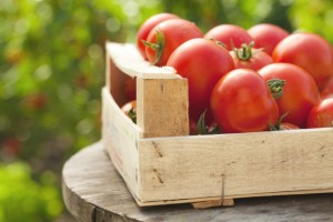 cassetta-di-pomodori
