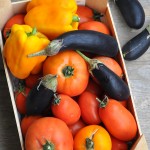 peperonata_verdura_stag_01