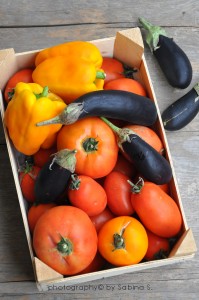 peperonata_verdura_stag_01