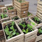 5633331372_cb5d4f117f