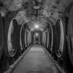 immagine per agrikulturae giugno 2016