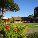 ???????????????????????????????