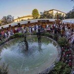 Vino al Vino Piazza Bucciarelli small