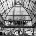 13445371_10209851488032445_7236600243850025235_n