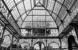 13445371_10209851488032445_7236600243850025235_n