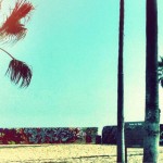 lezioni aperte teatro web