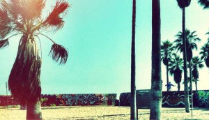 lezioni aperte teatro web