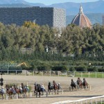 palio esercizi storici