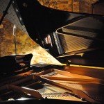 20100727_concerto_antonello_palazzolo_015