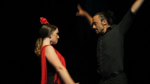 Flamenco
