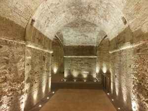 14479708_1399209060092589_6870018282624511611_n