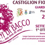 20690304_1557951700894650_6391025890921657536_o