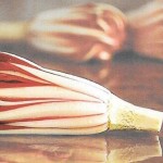 12524080_681495795286723_2906238009663277711_n-iloveimg-cropped