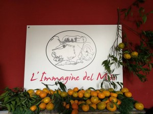 15442168_673182529510245_6623735659187604379_n