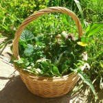 26677968_1962887457297645_6122192839423777435_o