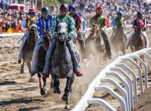 Foto 1 Palio Costa Etrusca