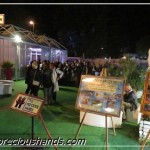 21686350_1673491276057228_2430615769412719514_n